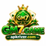 GM7 Game