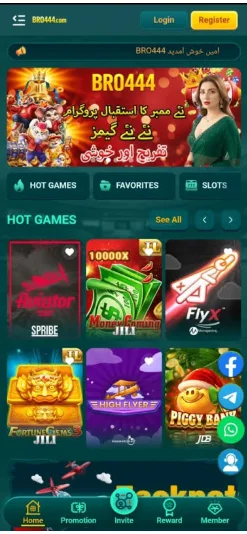 BRO444 Game