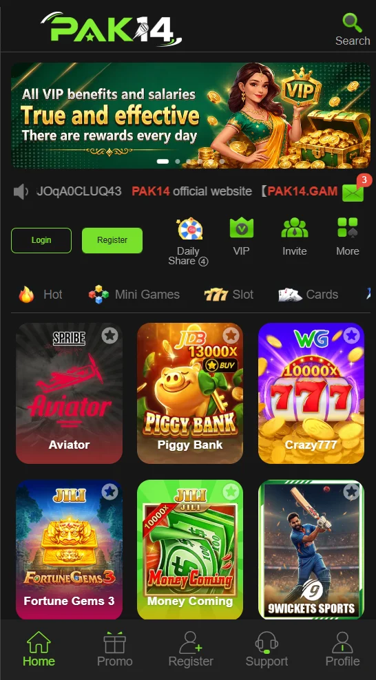 pak14 Game